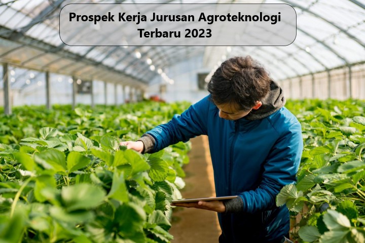 Prospek Kerja Jurusan Agroteknologi Terbaru 2023