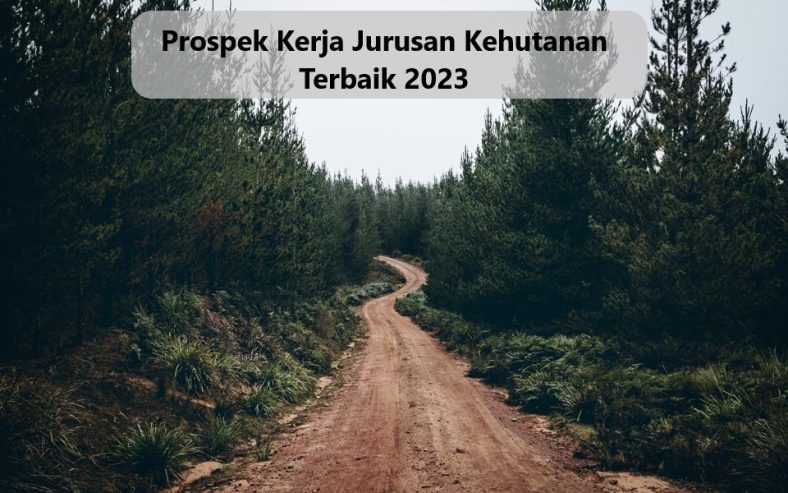 Prospek Kerja Jurusan Kehutanan Terbaik 2023