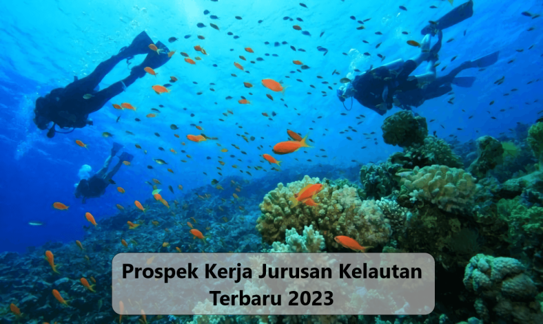 Prospek Kerja Jurusan Kelautan Terbaru 2023